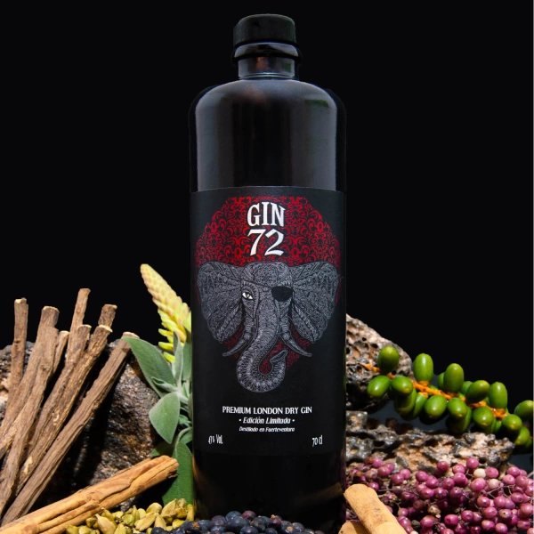 Ginebra 72 London Dry Gin Agua Guanches