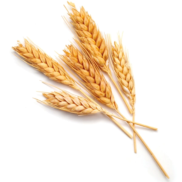 Granamaro Dieci Sicilian Grains 50 cl