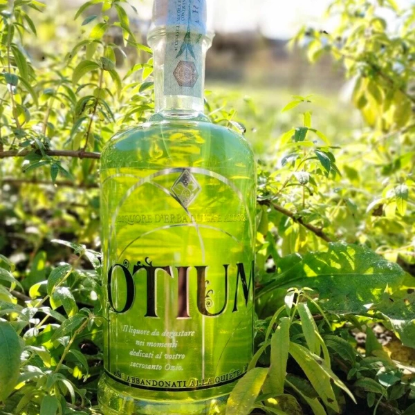 Otium liquore di erba luisa e alloro