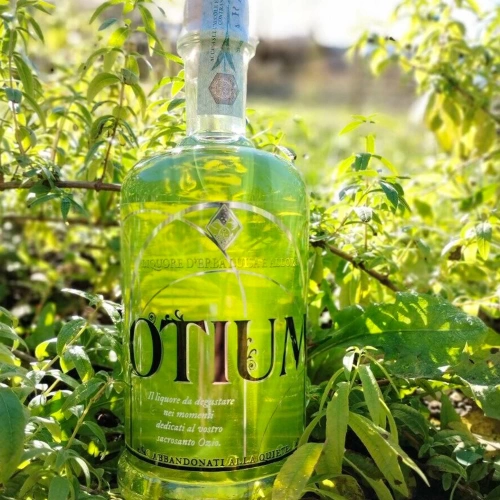 Otium liquore di erba luisa e alloro