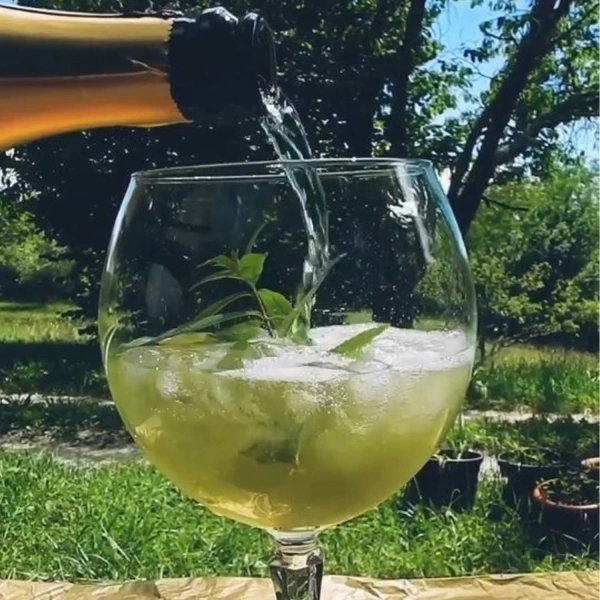 Otium liquore di erba luisa e alloro