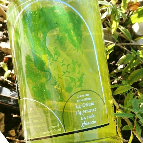 Otium liquore di erba luisa e alloro