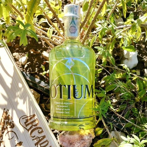 Otium liquore di erba luisa e alloro