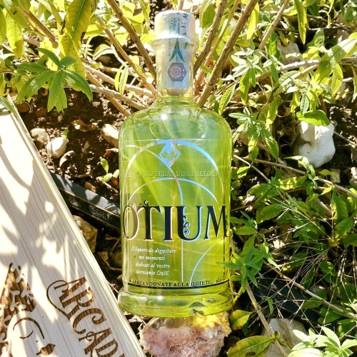Otium liquore di erba luisa e alloro
