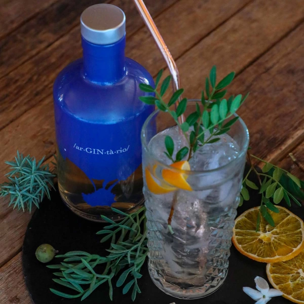 / ar•GIN•tario /